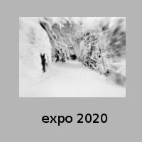 expo 20
